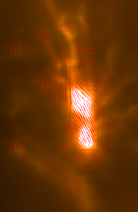 POL-2 OMC-1 polarisation vectors (jackknife test animated gif).