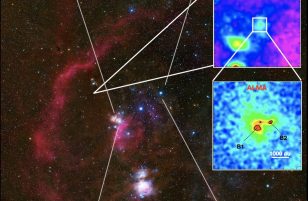 JCMT and ALMA: Hunting for stellar nurseries in Orion